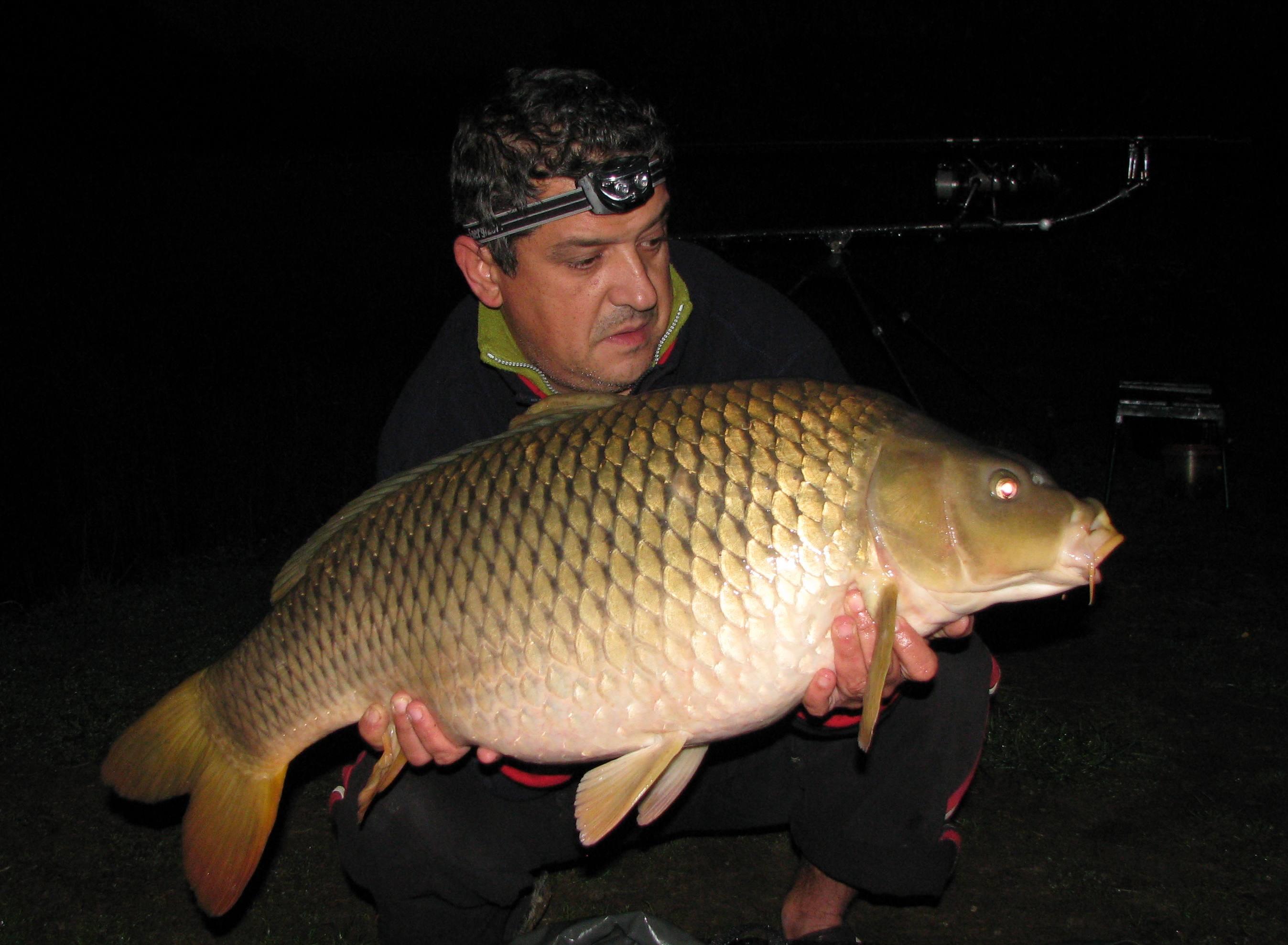 capturi - IMG_3639.JPG